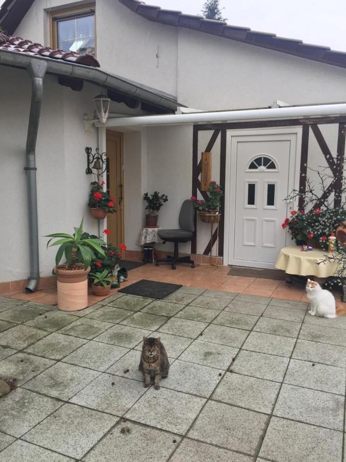 Kleines Haus Im Oderbruch Apartamento Neutrebbin Exterior foto