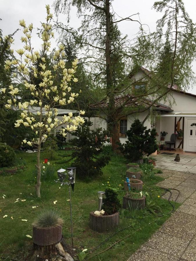 Kleines Haus Im Oderbruch Apartamento Neutrebbin Exterior foto
